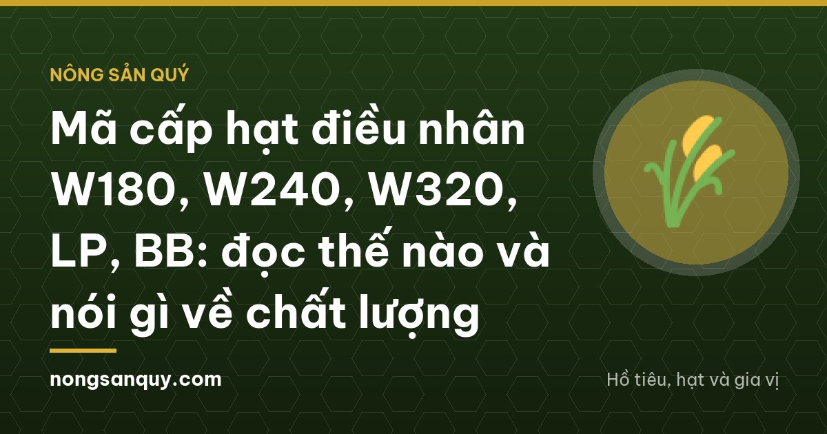 Mã cấp hạt điều nhân W180, W240, W320, LP, BB: đọc thế nào và nói gì về chất lượng